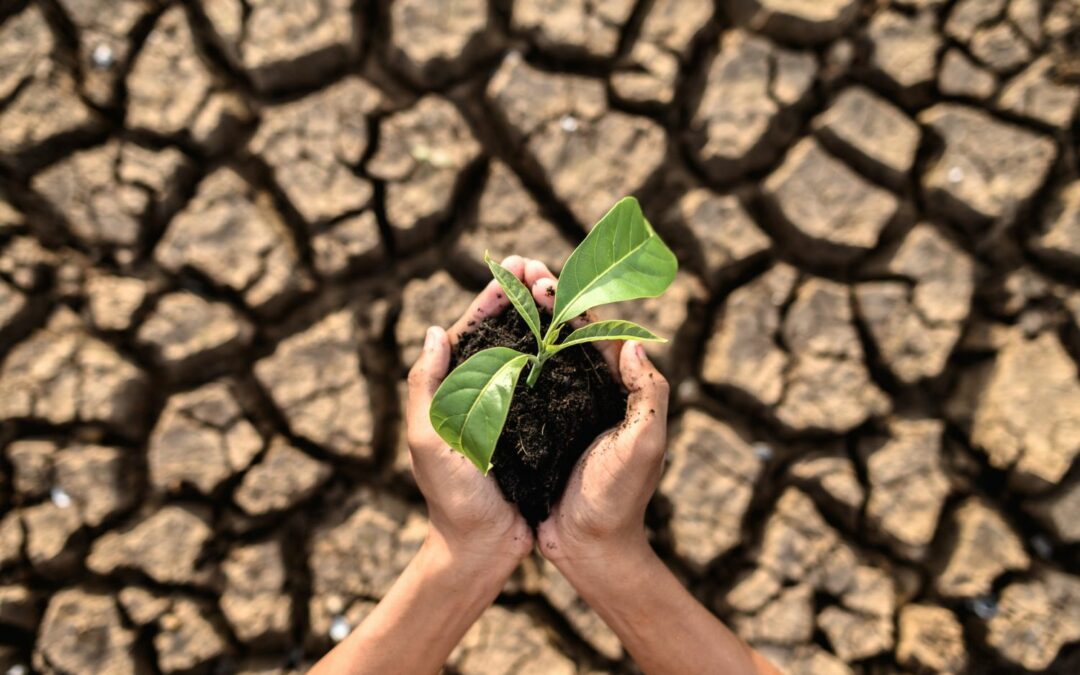 Recorridos solidarios: Trayectorias individuales y montajes colectivos en la historia, coordinado por Patricia Pensado Leglise y Gerardo Necoechea Gracia.Reseña por Anagricel Camacho Bueno