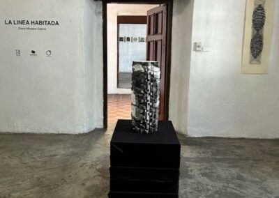 Diana Morales, La línea habitada